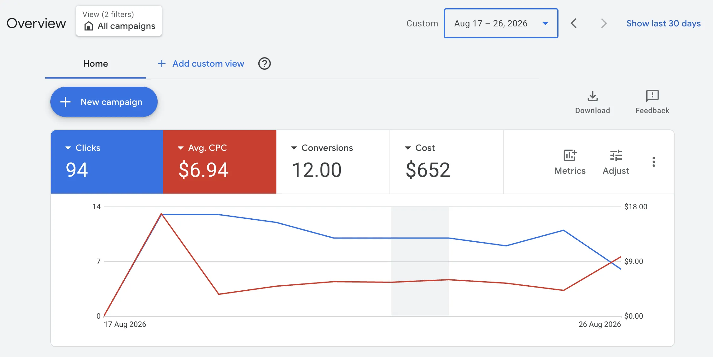 Captura real de desempenho no Google Ads — Eco Carpet Cleaning
